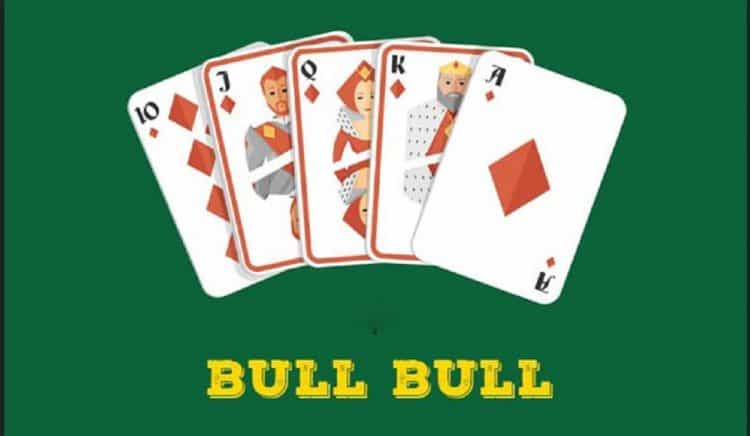 Bull blull